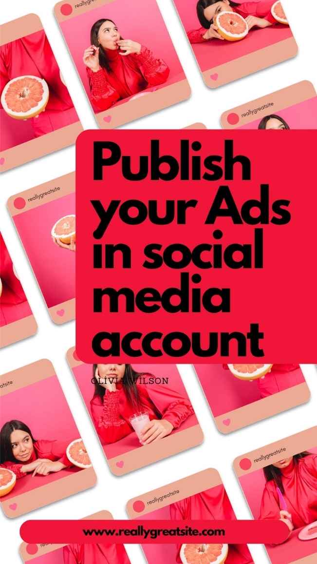 Publicity Ladder Meta Ads & Social Media Account Managements